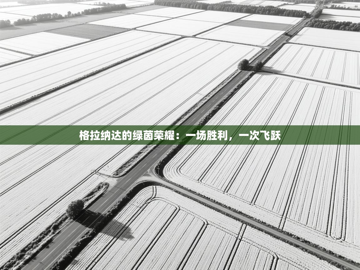 格拉纳达的绿茵荣耀：一场胜利，一次飞跃  第1张