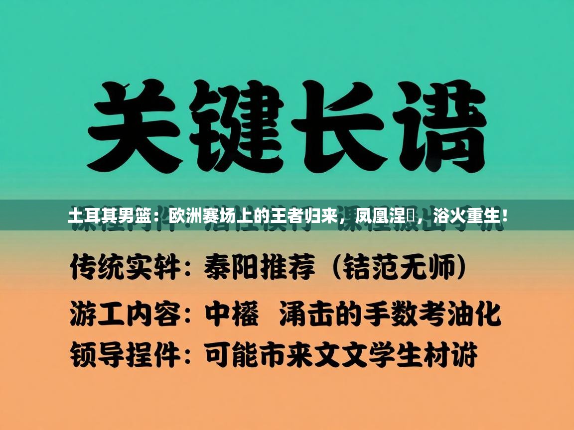 土耳其男篮：欧洲赛场上的王者归来，凤凰涅槃，浴火重生！  第2张